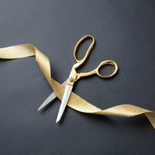 Load image into Gallery viewer, Cord Cutting Moon Service