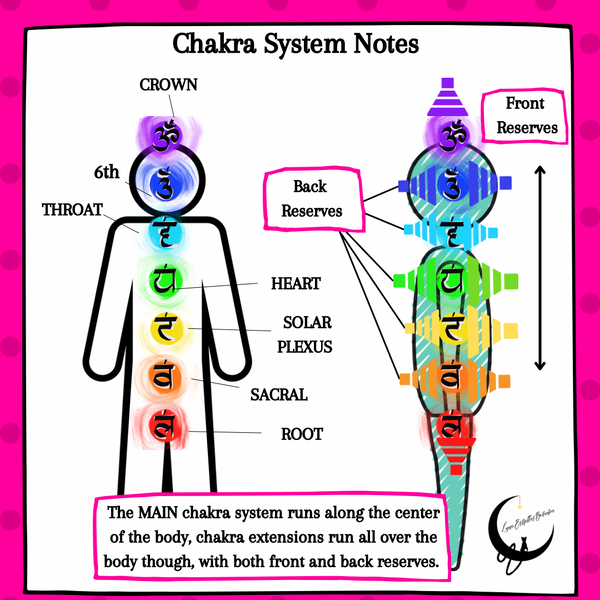 The REAL Chakra System